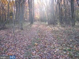 Lot 3 Pond Neck Road Earleville, MD 21919 - Photo 1 of 4 Gallery Image 1