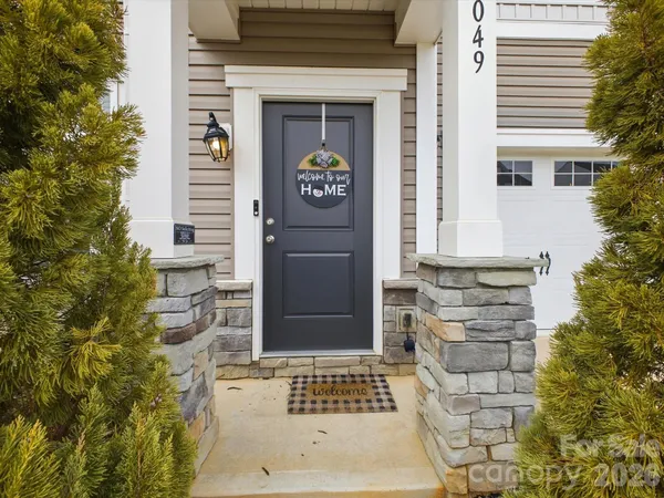 a room with a potted plant on the counter