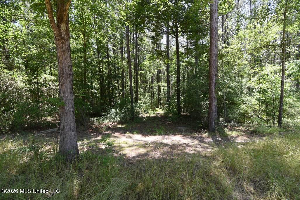 0 Miller Road Olive Branch, MS 38654 - Photo 18 of 26 5-15-2025-7-20-50-AM