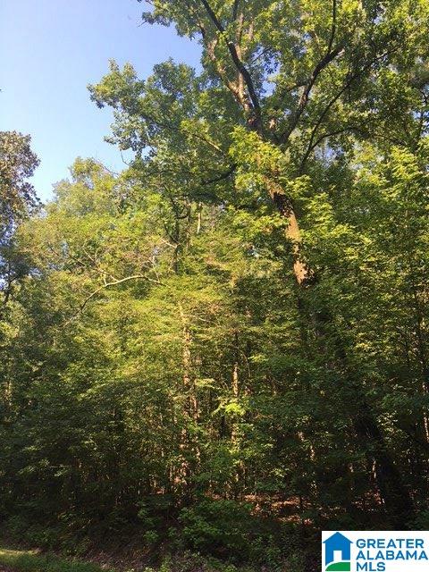 0 Berrington Lane Springville, AL 35146 - Photo 12 of 17