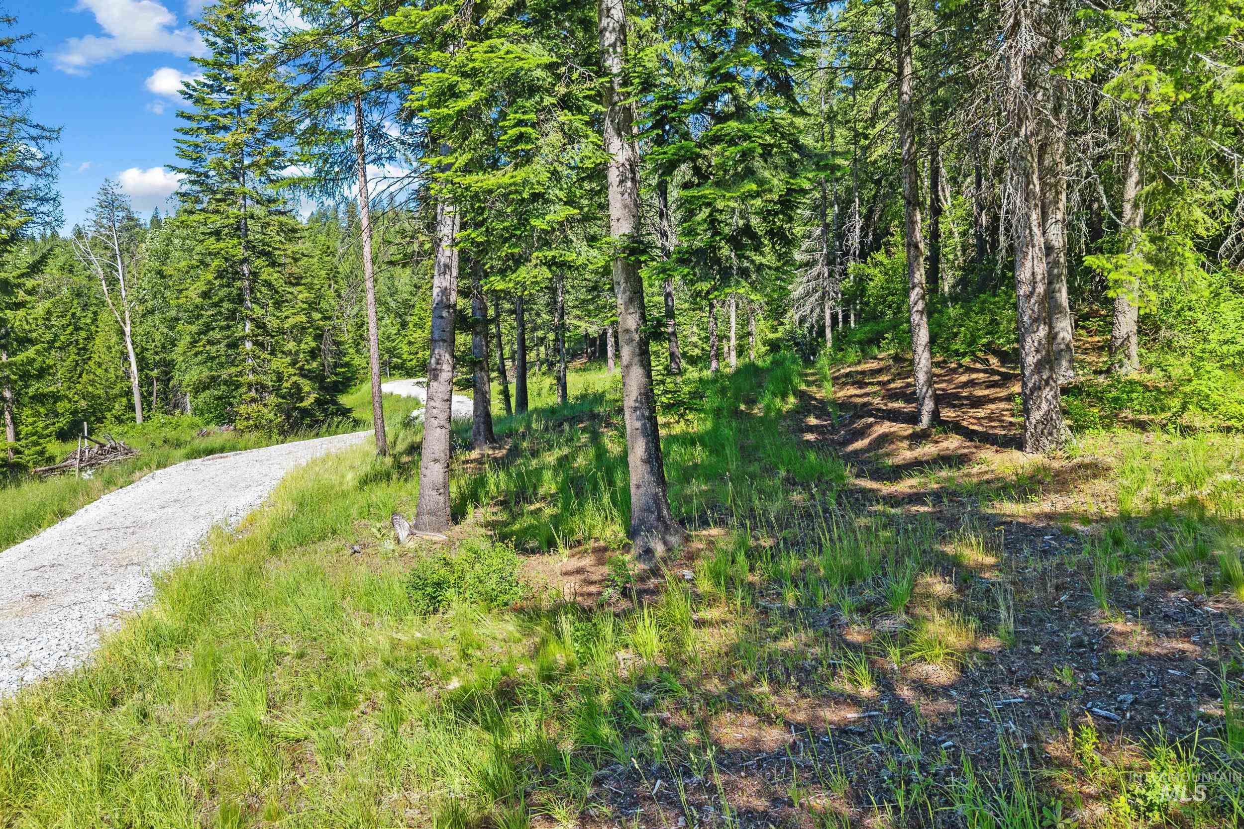 Abc Abc Gold Cup Road Priest River, ID 83856 - Photo 12 of 24