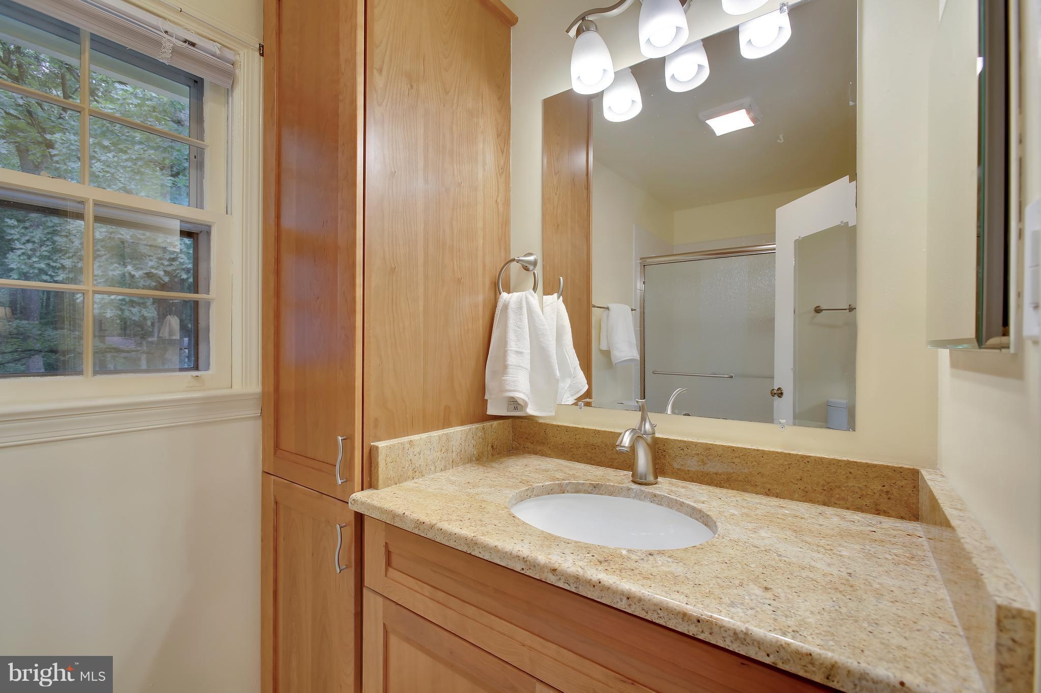 12350 Lima Lane Reston, VA 20191 - Photo 15 of 29 Bath (Master)