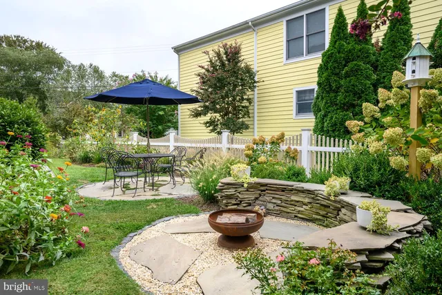 a view of a backyard with plants and a garden