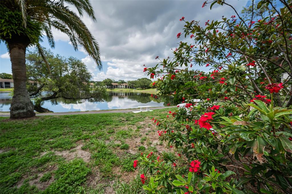 1870 Pine Ridge Way West, Unit G1 Palm Harbor, FL 34684 - Photo 44 of 77