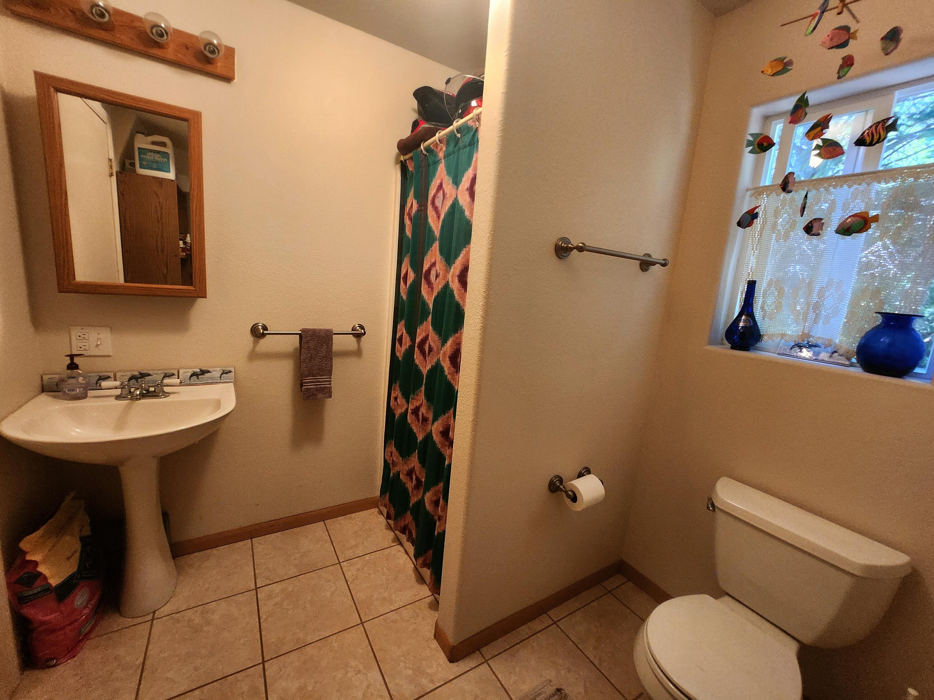 10 Telegraph Creek Road Whitethorn, CA 95589 - Photo 16 of 59