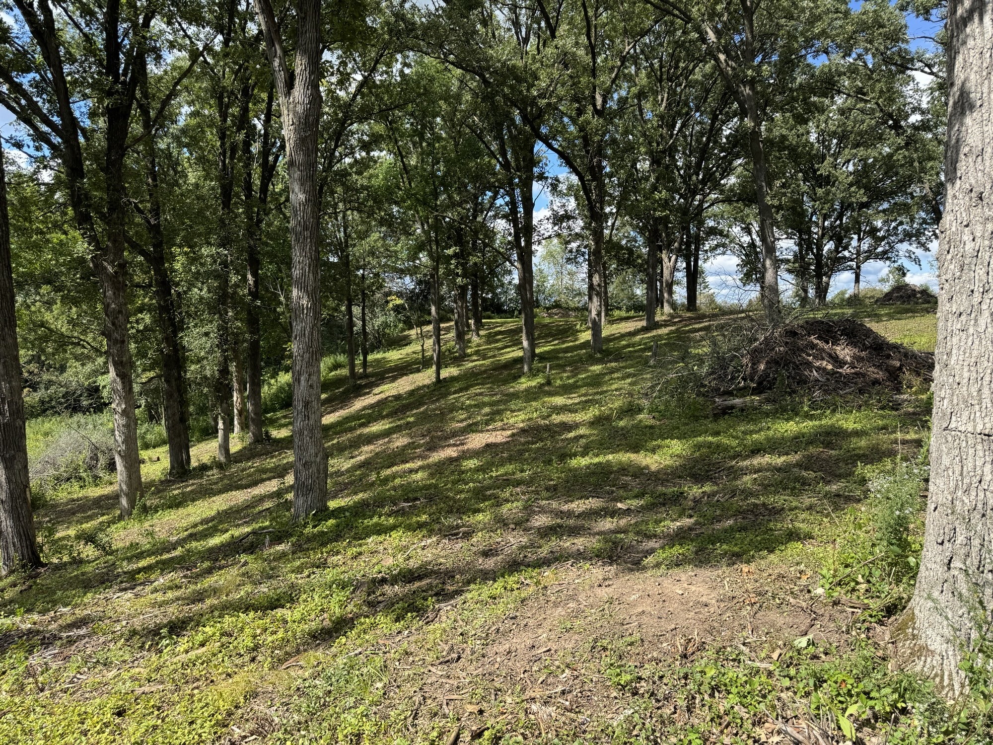 Lot 28 21st Street Rice Lake, WI 54868 - Photo 16 of 40