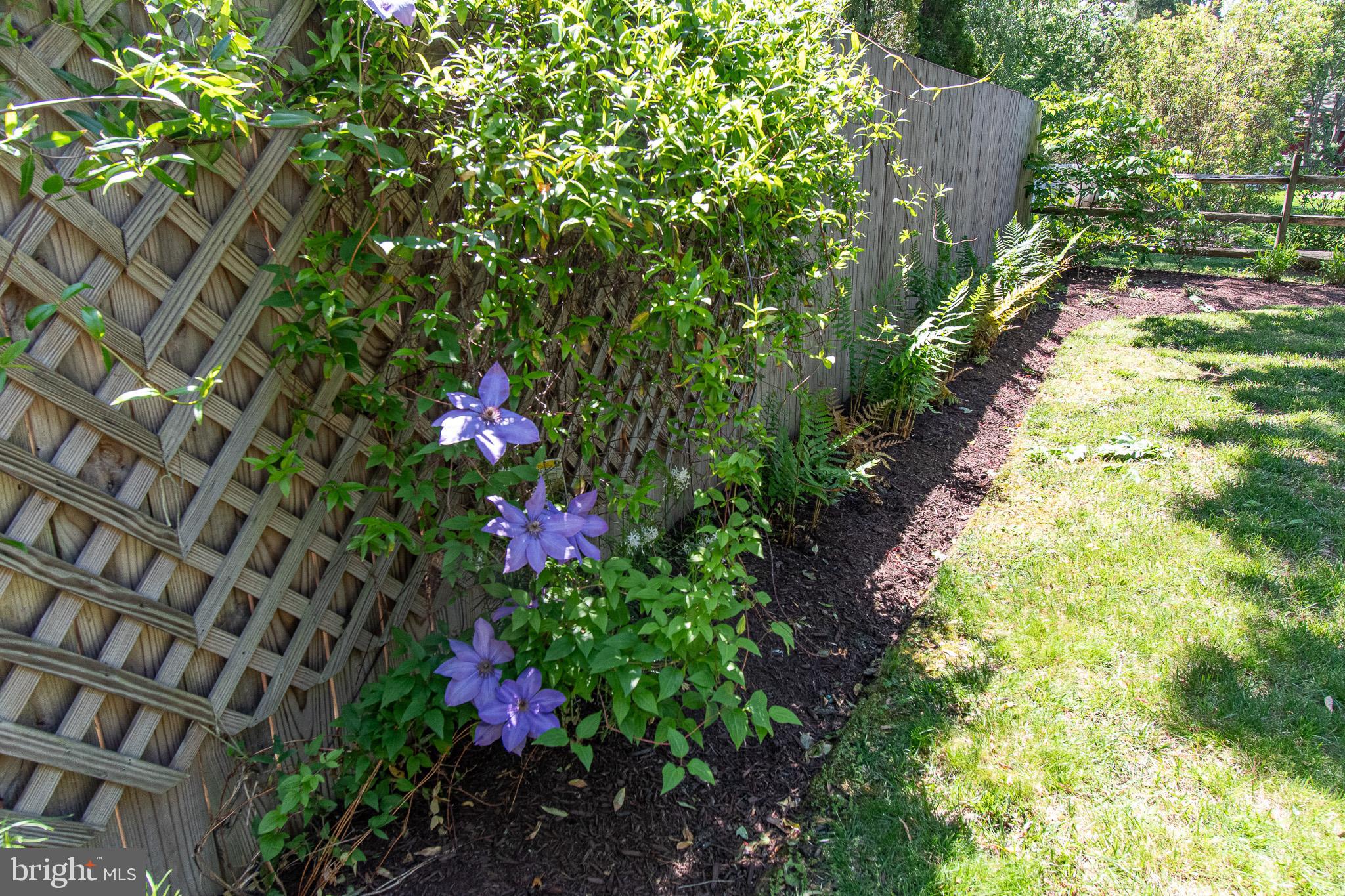 102 Jacks Point Road Oxford, MD 21654 - Photo 64 of 83 a flower plants in front of a building