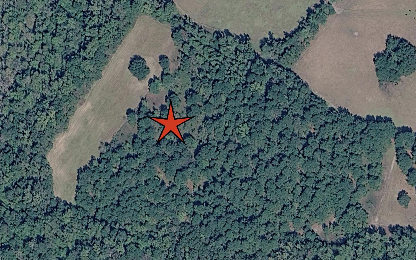 Tbd Tbd Not Specified Mullins, SC 29574 - Photo 3 of 6