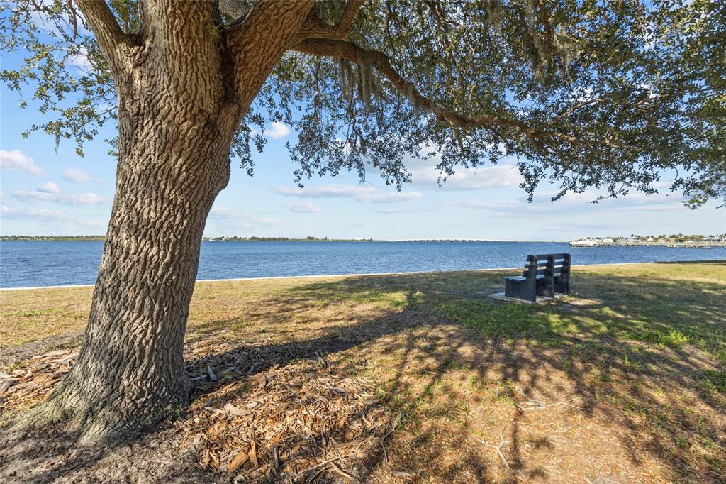 12508 Bacchus Road Port Charlotte, FL 33981 - Photo 34 of 35