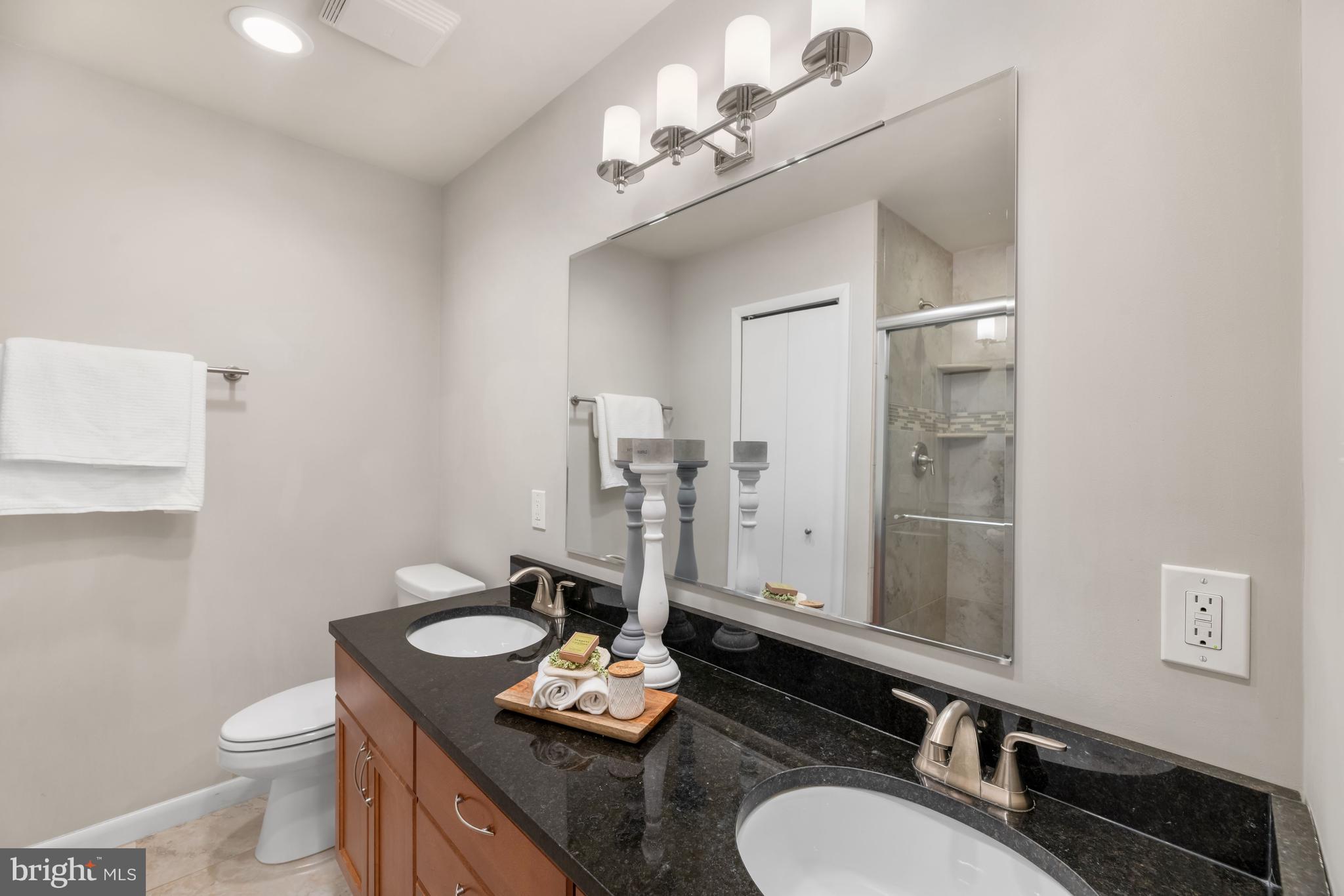 1674 Wainwright Drive Reston, VA 20190 - Photo 17 of 31 primary bathroom