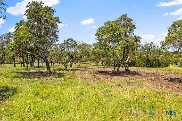 350 Brecken Ranch Road Stonewall, TX 78671 - Photo 1 of 1 Gallery Image 1