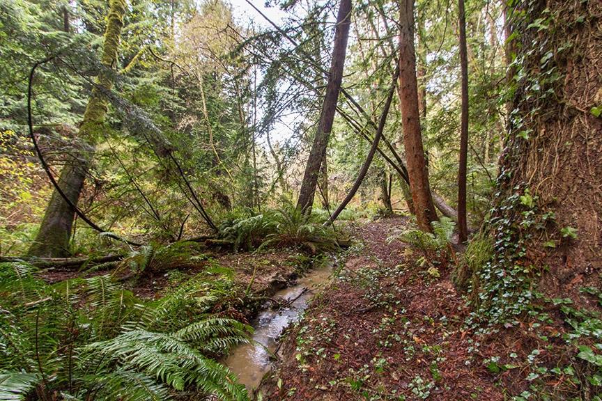 4259 Campton Road Eureka, CA 95503 - Photo 49 of 49