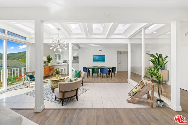 a living room with furniture a wooden floor and a potted plant