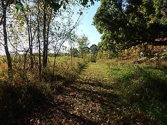 2857 Oakley Road Stockbridge, MI 49285 - Photo 13 of 27 DSCN1634