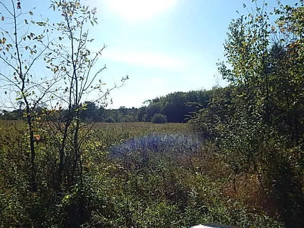$699,000 | 2857 Oakley Road, Stockbridge, MI 49285