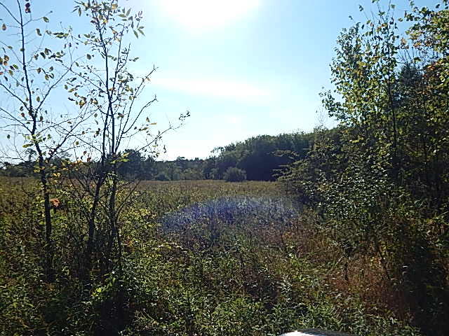 2857 Oakley Road Stockbridge, MI 49285 - Photo 14 of 27 DSCN1635