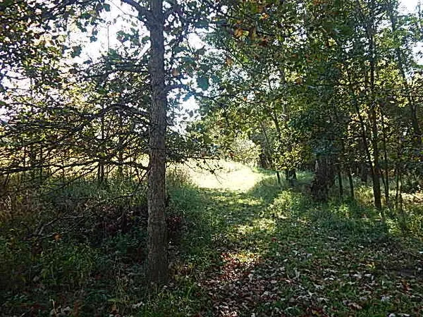 $699,000 | 2857 Oakley Road, Stockbridge, MI 49285