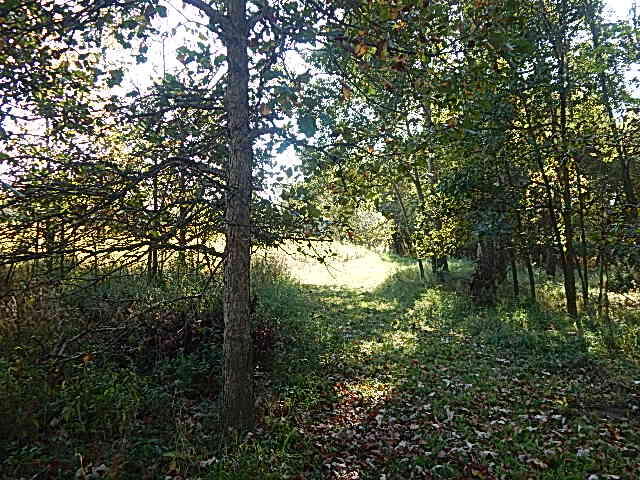 2857 Oakley Road Stockbridge, MI 49285 - Photo 15 of 27 DSCN1636
