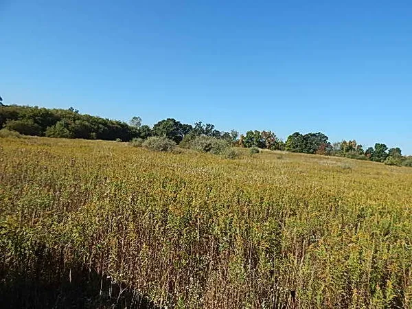 $699,000 | 2857 Oakley Road, Stockbridge, MI 49285