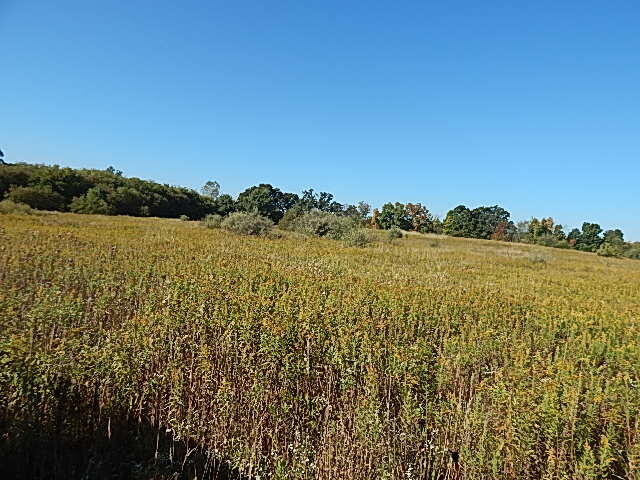 2857 Oakley Road Stockbridge, MI 49285 - Photo 19 of 27 DSCN1640