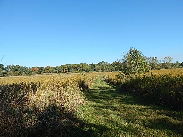 2857 Oakley Road Stockbridge, MI 49285 - Photo 20 of 27 DSCN1641
