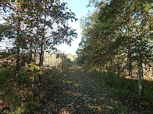 $699,000 | 2857 Oakley Road, Stockbridge, MI 49285