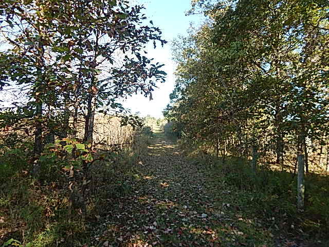 2857 Oakley Road Stockbridge, MI 49285 - Photo 23 of 27 DSCN1645