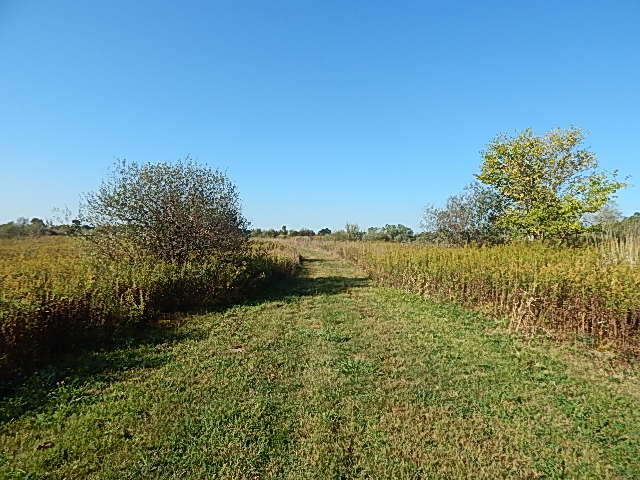 2857 Oakley Road Stockbridge, MI 49285 - Photo 3 of 27 DSCN1612