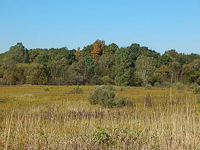 2857 Oakley Road Stockbridge, MI 49285 - Photo 4 of 27 DSCN1613