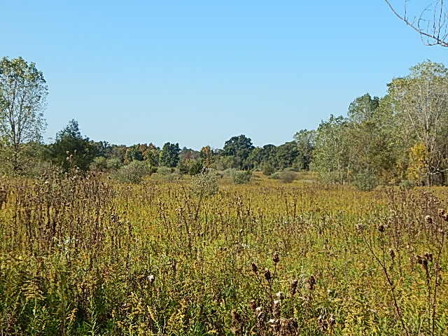 2857 Oakley Road Stockbridge, MI 49285 - Photo 6 of 27 DSCN1616