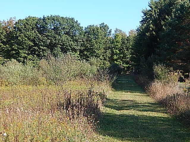 2857 Oakley Road Stockbridge, MI 49285 - Photo 7 of 27 DSCN1617