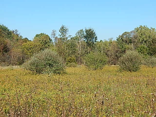 2857 Oakley Road Stockbridge, MI 49285 - Photo 8 of 27 DSCN1618