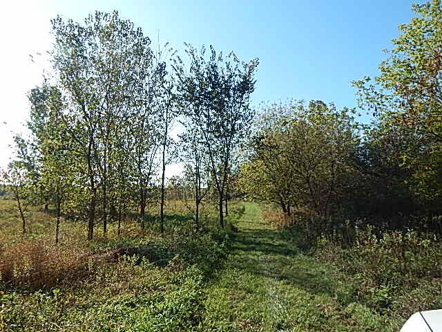 2857 Oakley Road Stockbridge, MI 49285 - Photo 9 of 27 DSCN1622