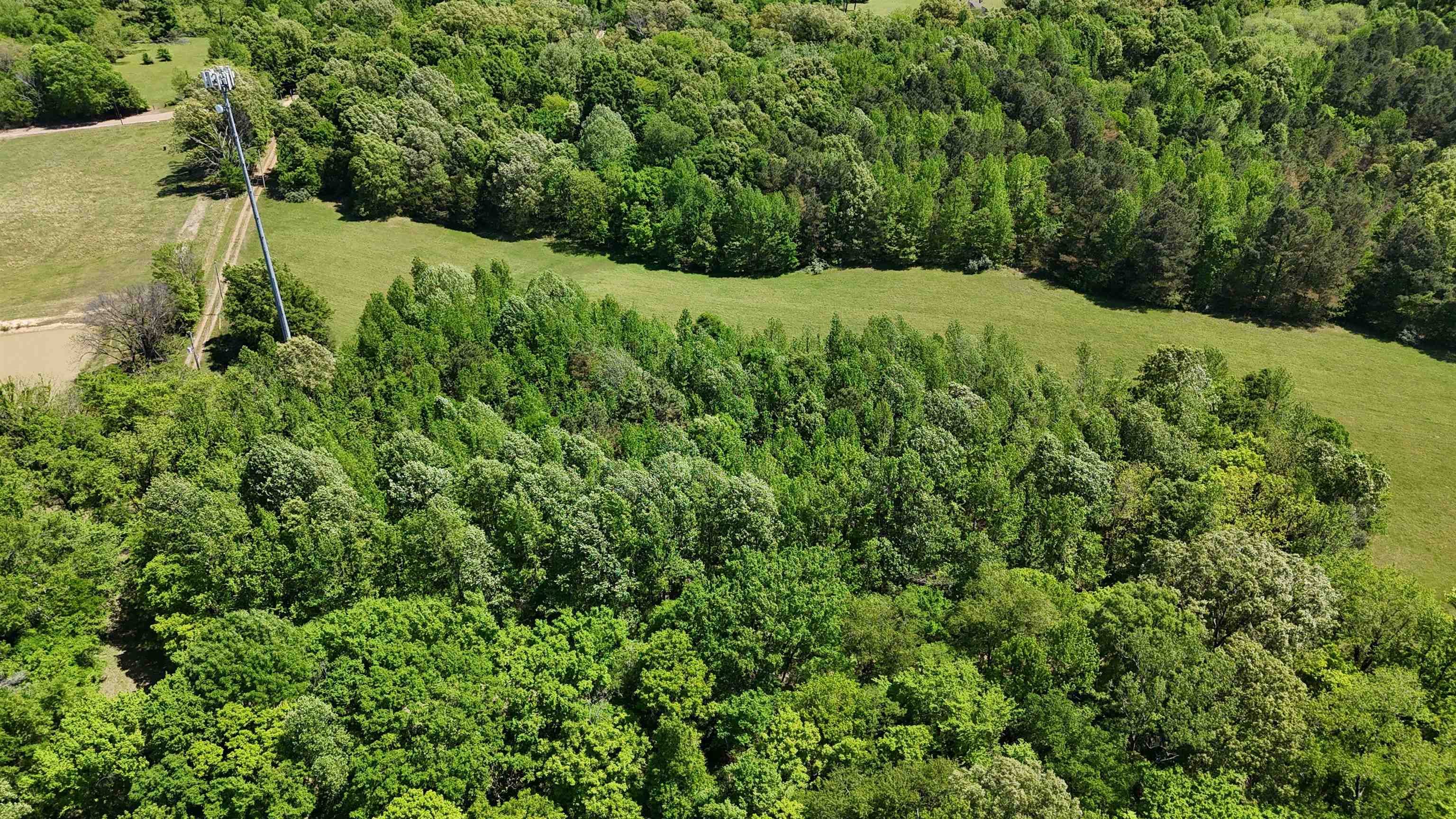 0 North Osborntown Road, Unit TRACT 2 30 ACRES Arlington, TN 38002 - Photo 6 of 10