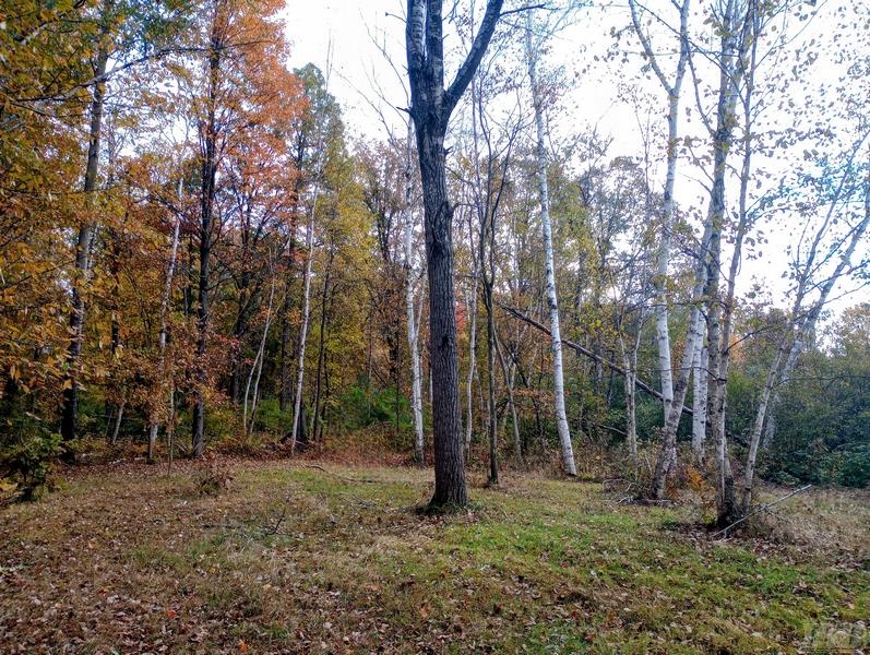 20-acres East Sun Oil Road Gladwin, MI 48624 - Photo 16 of 31 Gallery Image 16