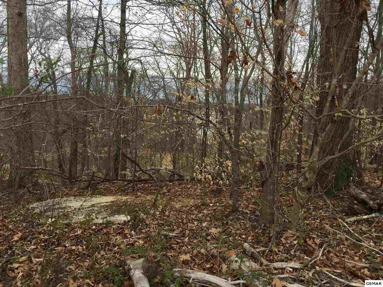 2200 Woods Ridge Road Dandridge, TN 37725 - Photo 4 of 5 Gallery Image 4