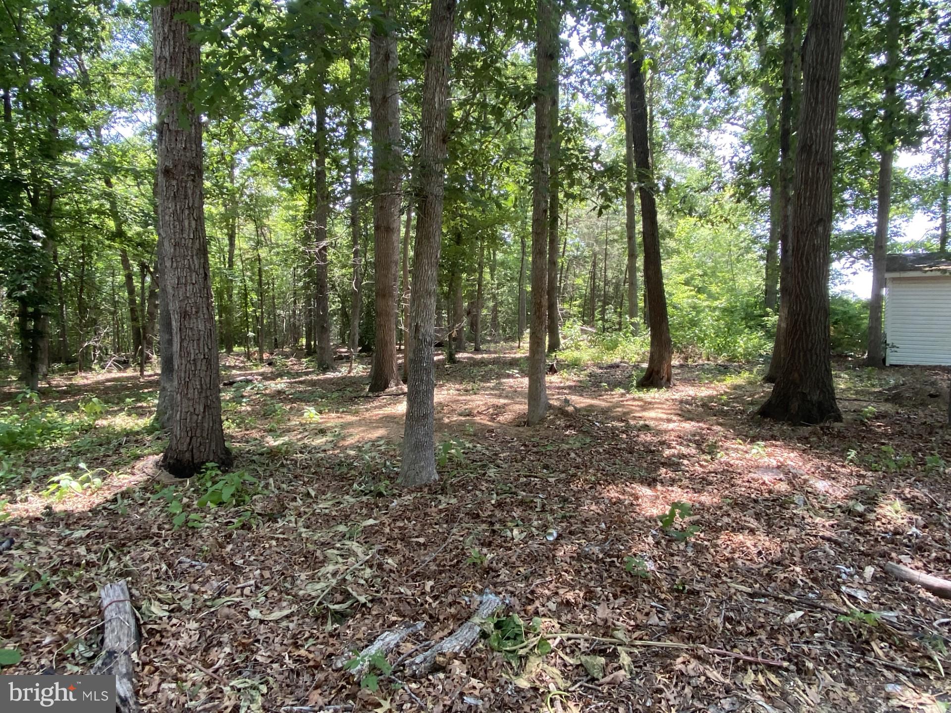 4596 Sumerduck Road Sumerduck, VA 22742 - Photo 55 of 59