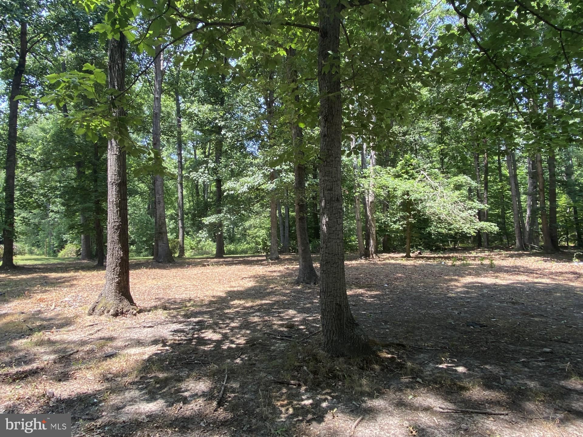 4596 Sumerduck Road Sumerduck, VA 22742 - Photo 56 of 59