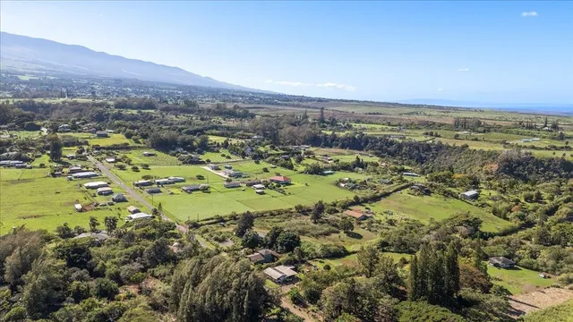 an aerial view of a house with a yard and large trees