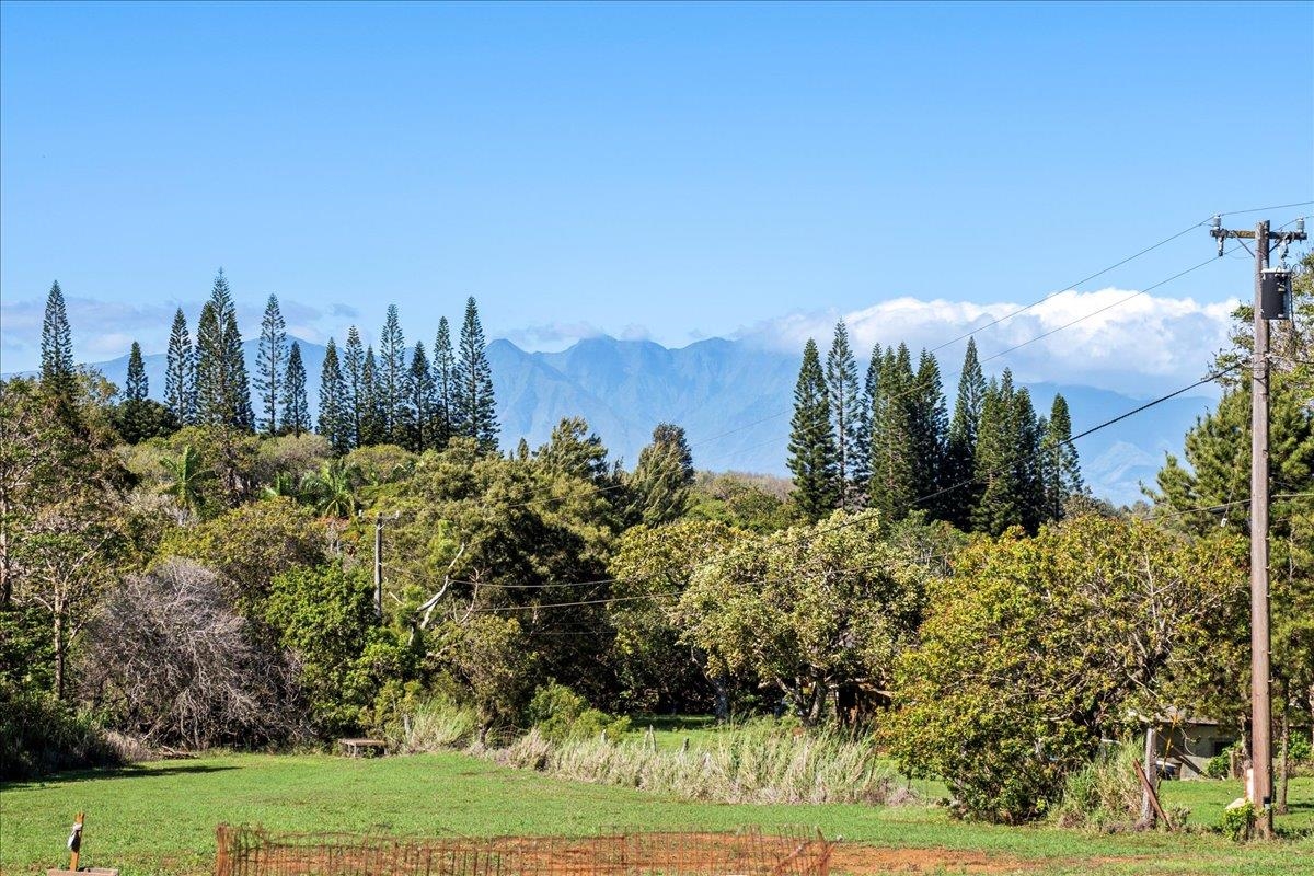 2226 Lilikoi Road Haiku, HI 96708 - Photo 41 of 50 a view of a yard