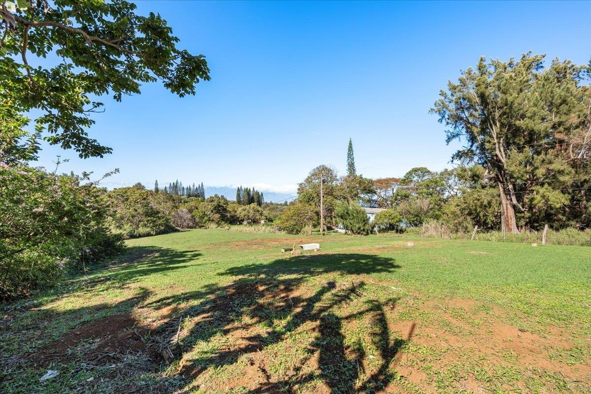 2226 Lilikoi Road Haiku, HI 96708 - Photo 45 of 50 a view of a big yard with an outdoor space