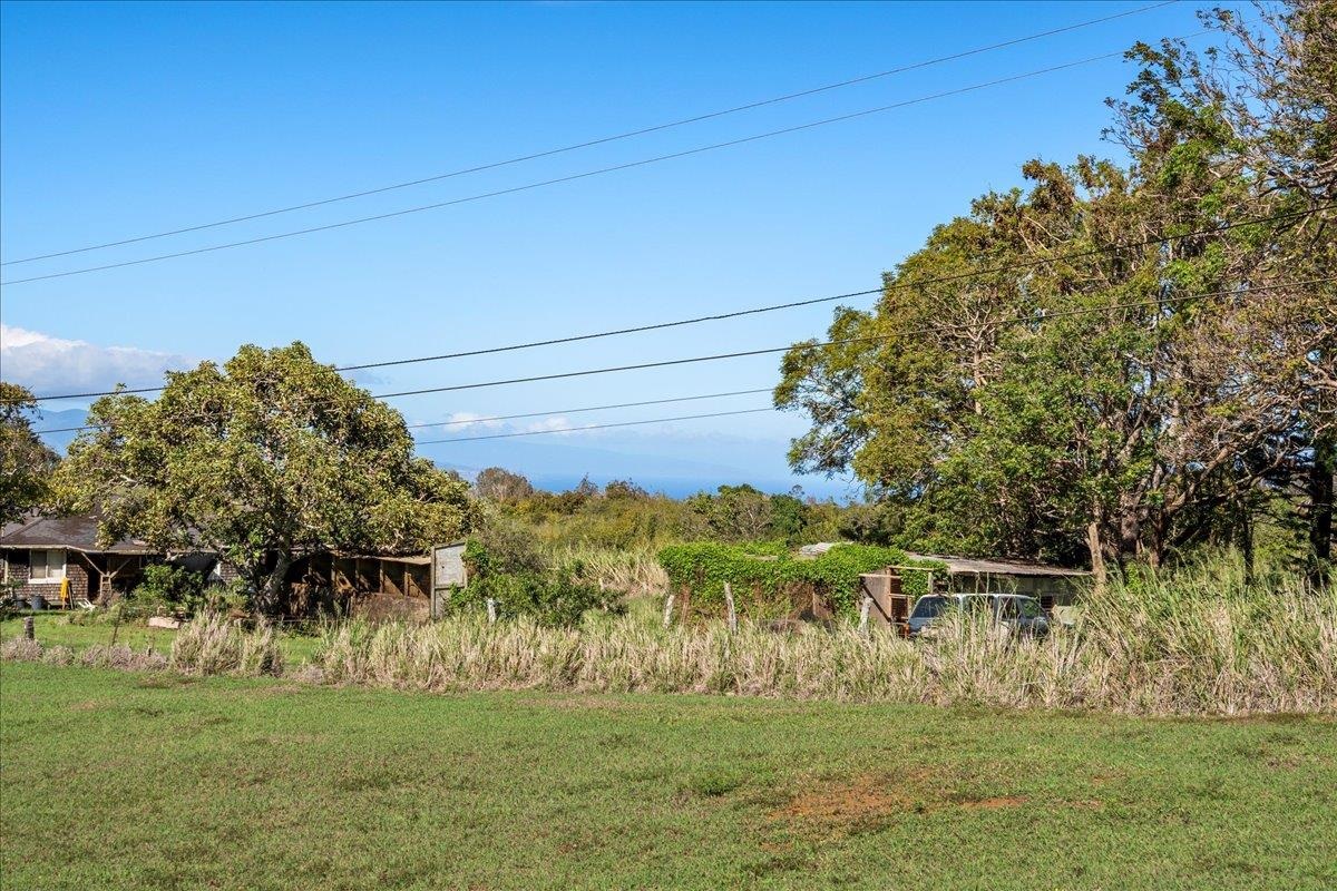 2226 Lilikoi Road Haiku, HI 96708 - Photo 47 of 50 a view of a grassy area