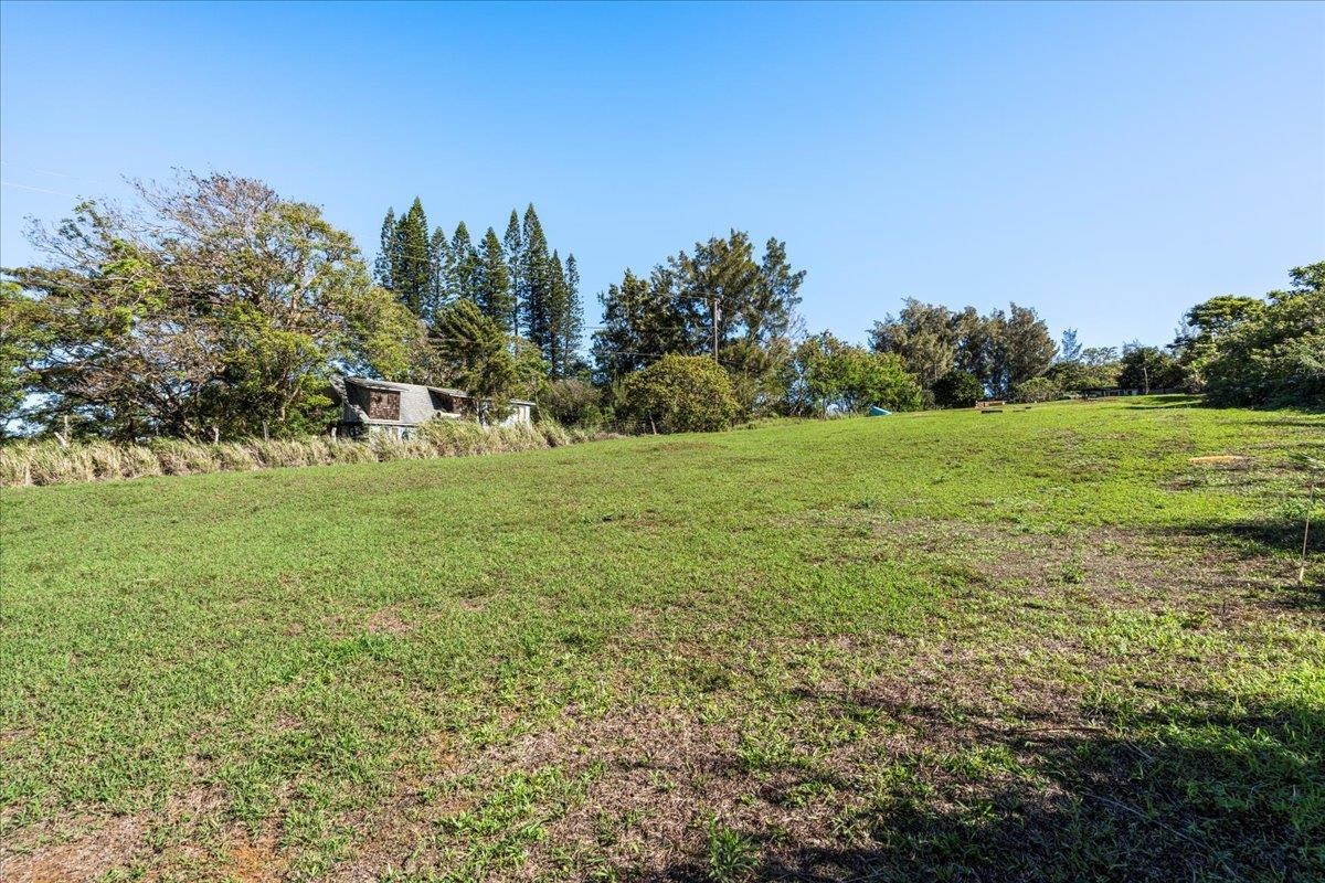 2226 Lilikoi Road Haiku, HI 96708 - Photo 48 of 50 a view of a field with trees in the background