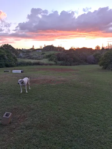 $1,685,000 | 2226 Lilikoi Road, Haiku, HI 96708
