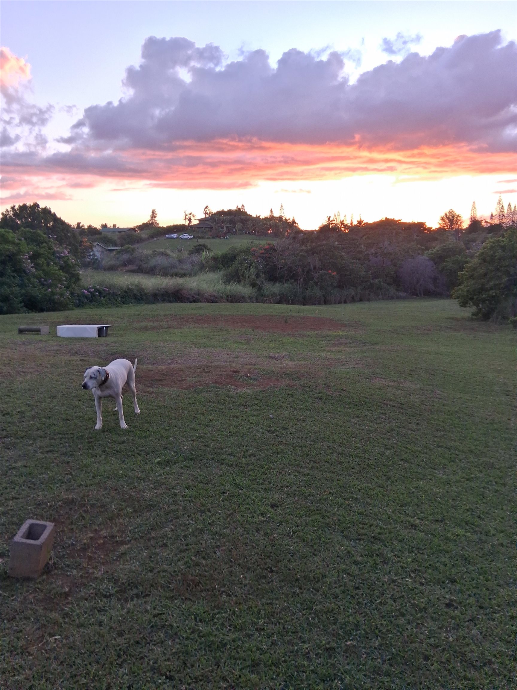2226 Lilikoi Road Haiku, HI 96708 - Photo 50 of 50 a view of lake with mountain in the background