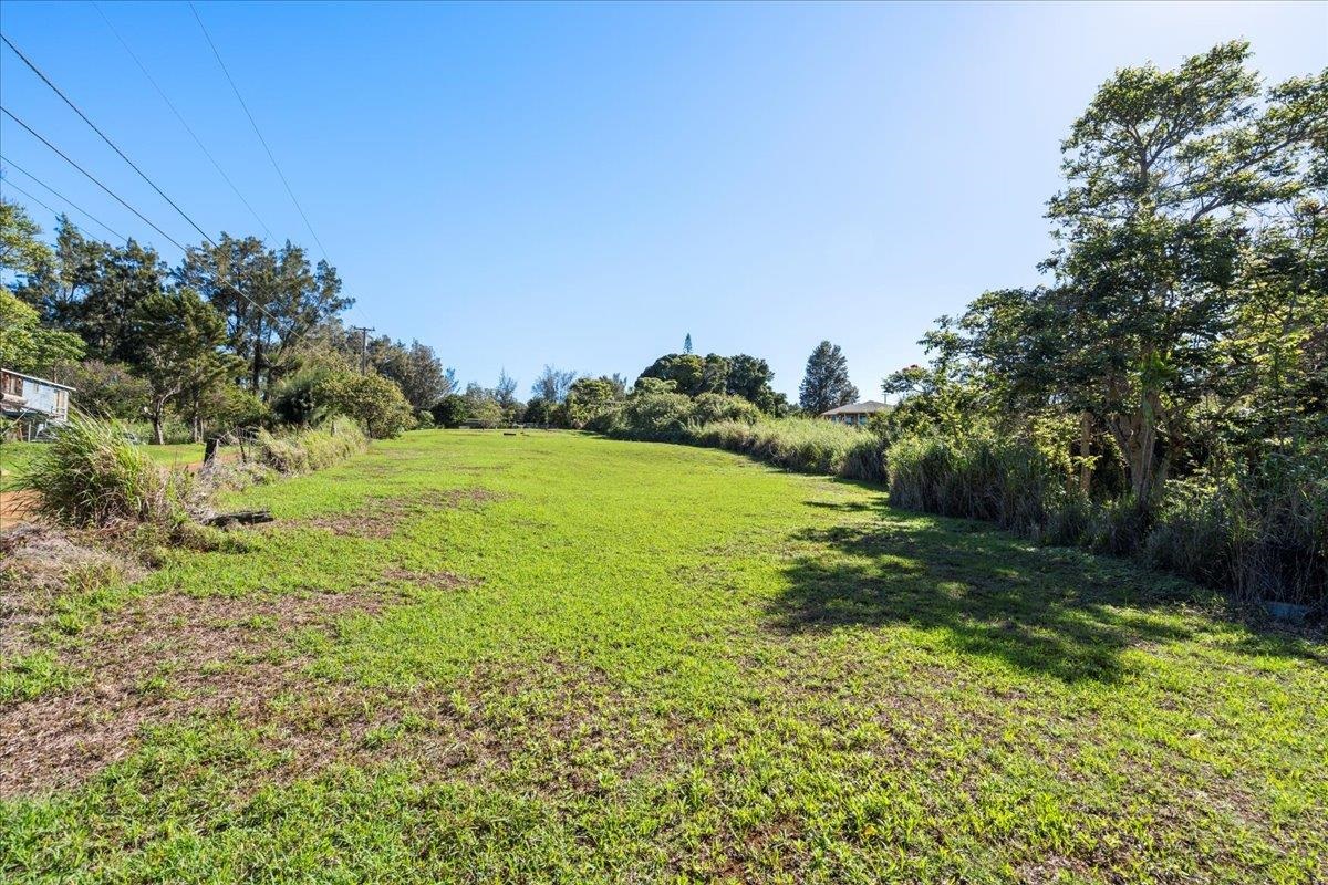 2226 Lilikoi Road Haiku, HI 96708 - Photo 8 of 50 a view of a field with an trees