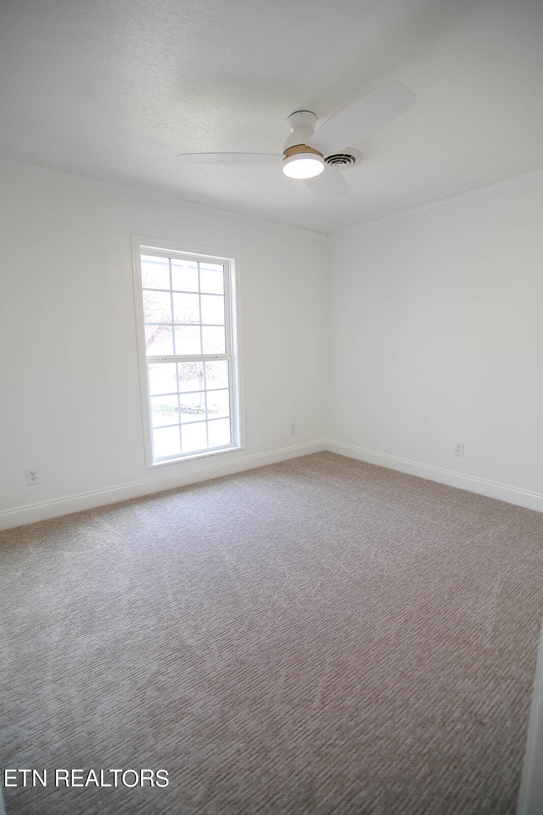 817 Drinnon Drive Morristown, TN 37814 - Photo 11 of 22 7D0C2612_websize