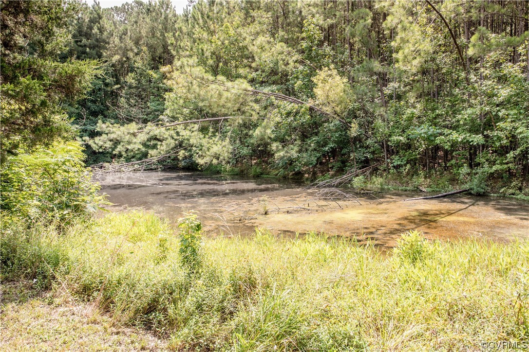 900 Butler Branch Road Petersburg, VA 23805 - Photo 9 of 10 Gallery Image 9