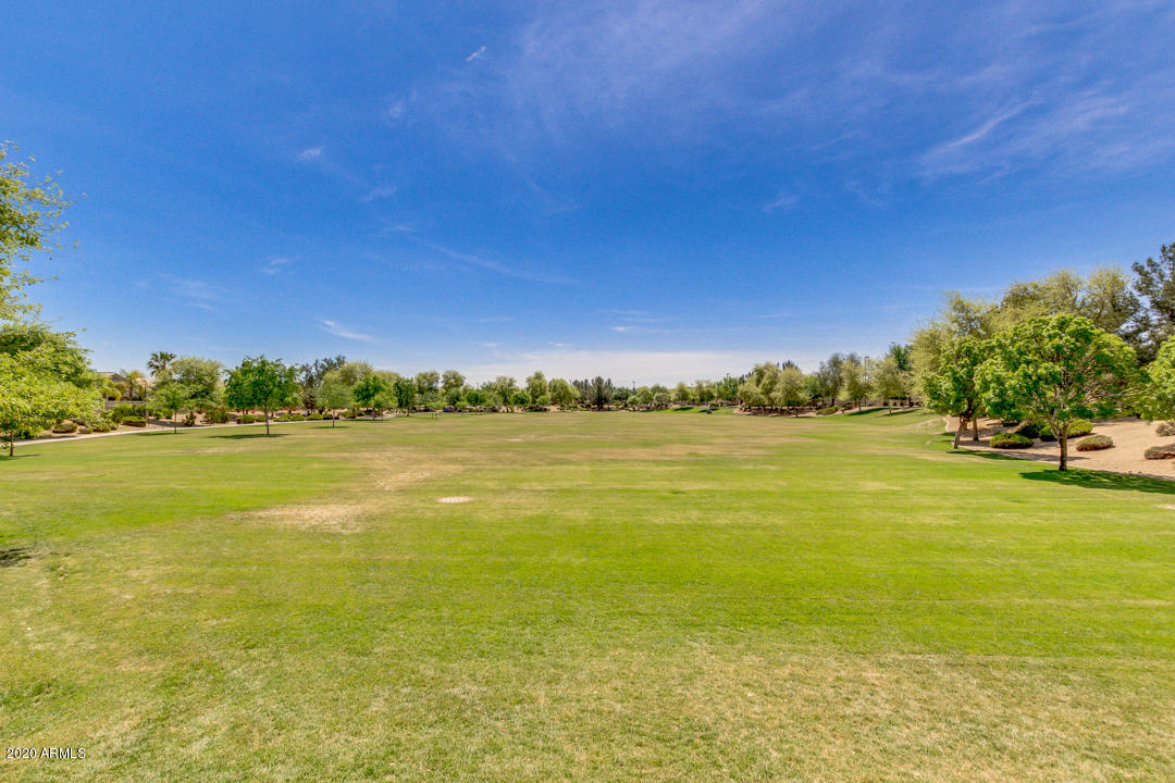 872 South Roca Street Gilbert, AZ 85296 - Photo 44 of 51 Community