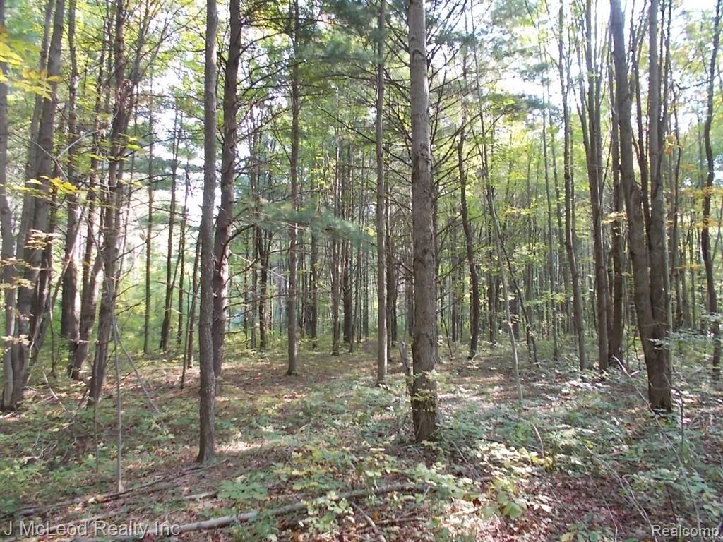 1805 Pierce Road Caro, MI 48723 - Photo 3 of 32